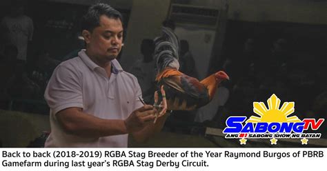 sabong|sabong derby 2020.